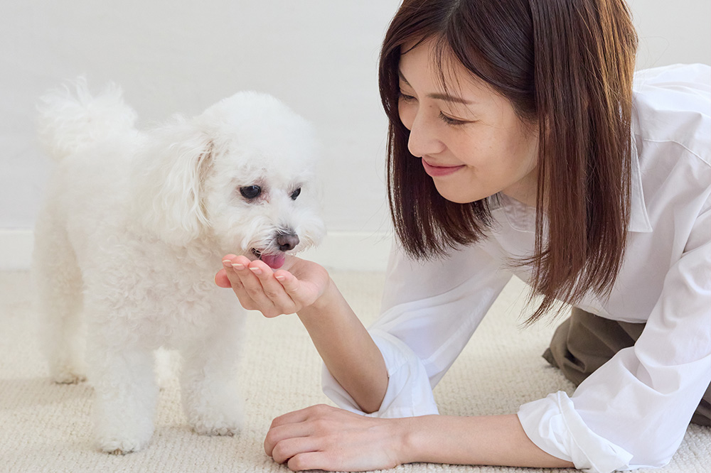 シニアのお悩みの特化した成分を配合しています