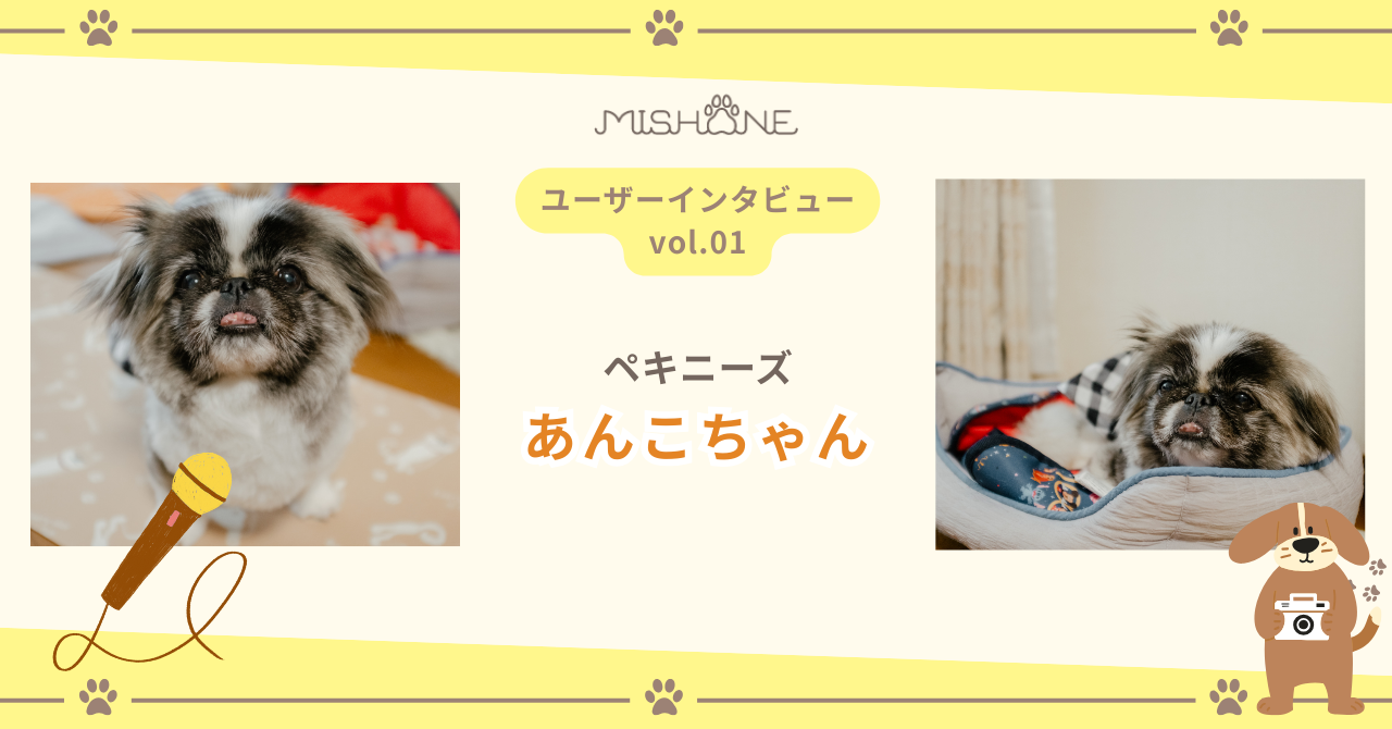 ペキニーズ あんこちゃん