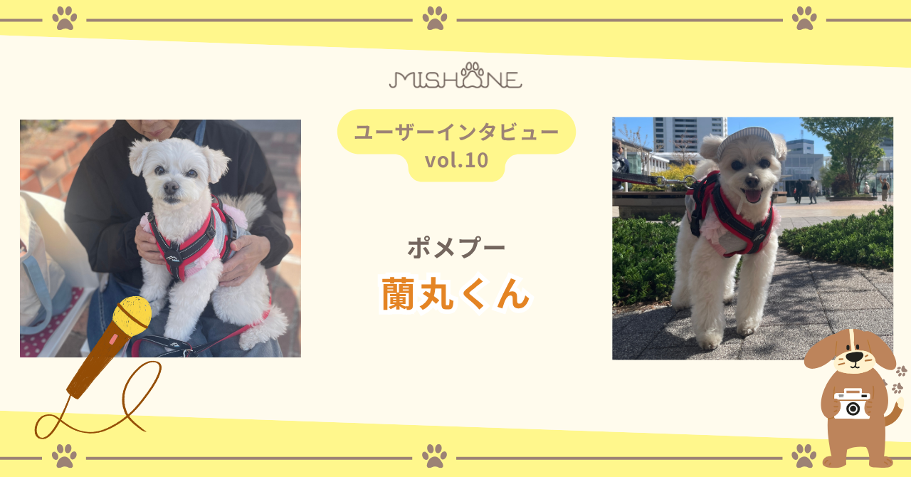 ポメプー「蘭丸くん」」