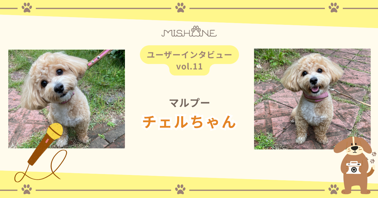 マルプー「チェルちゃん」