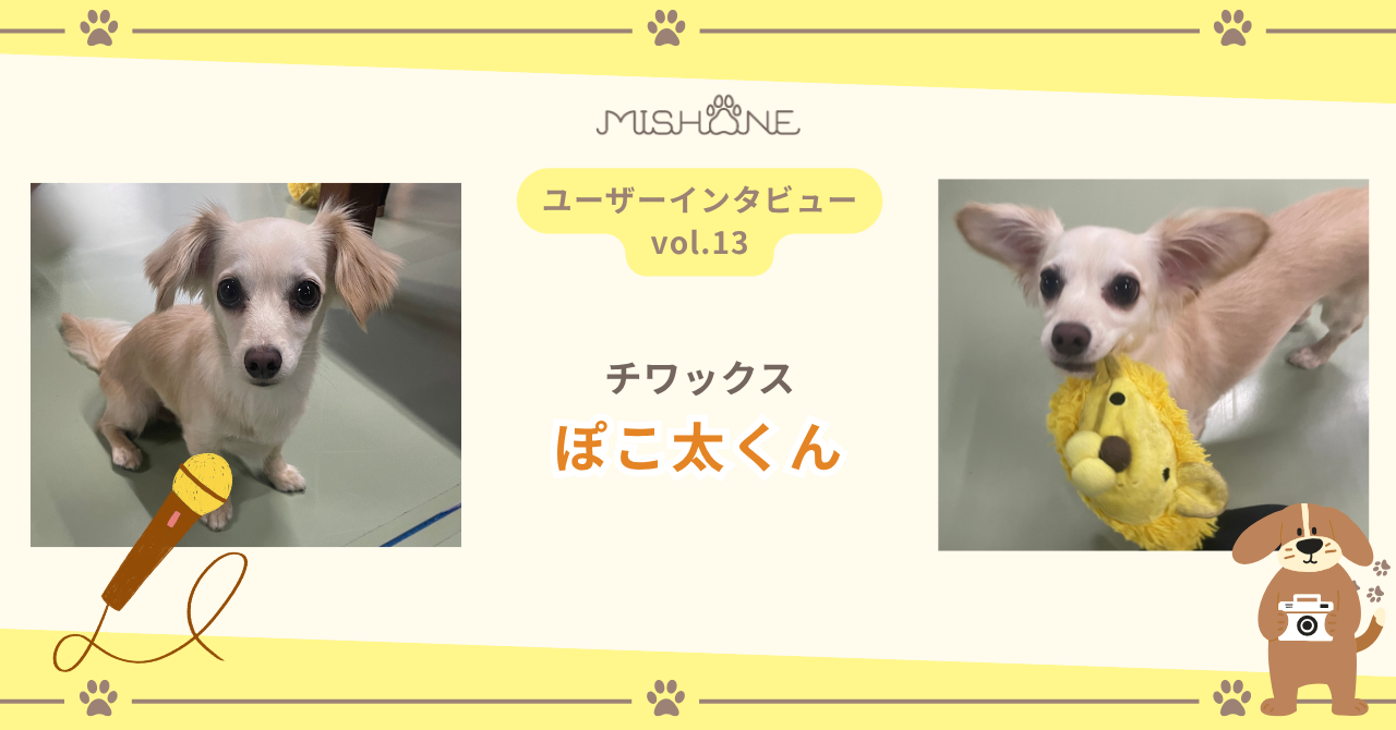 チワックス「ぽこ太くん」