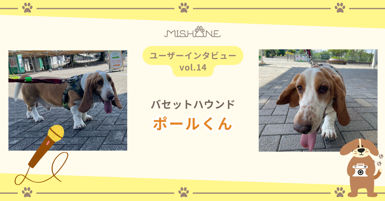 バセットハウンド「ポールくん」