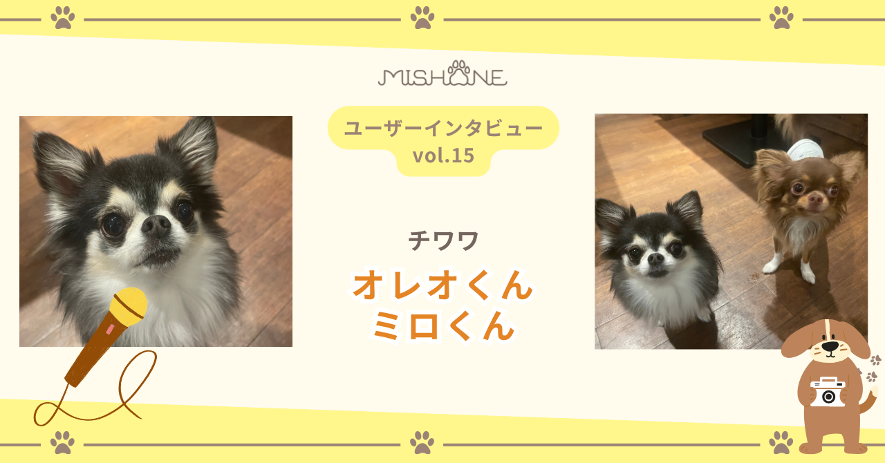 チワワ「オレオくん」「ミロくん」