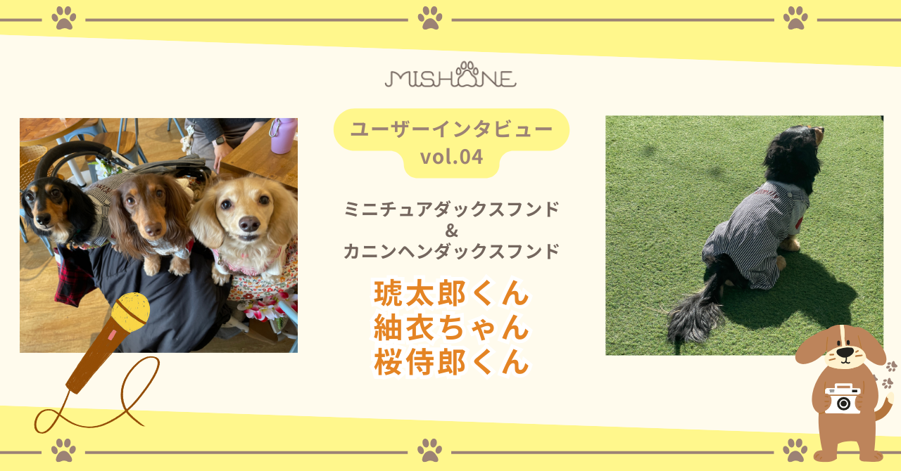 ミニチュア・カニンヘンダックスフンド