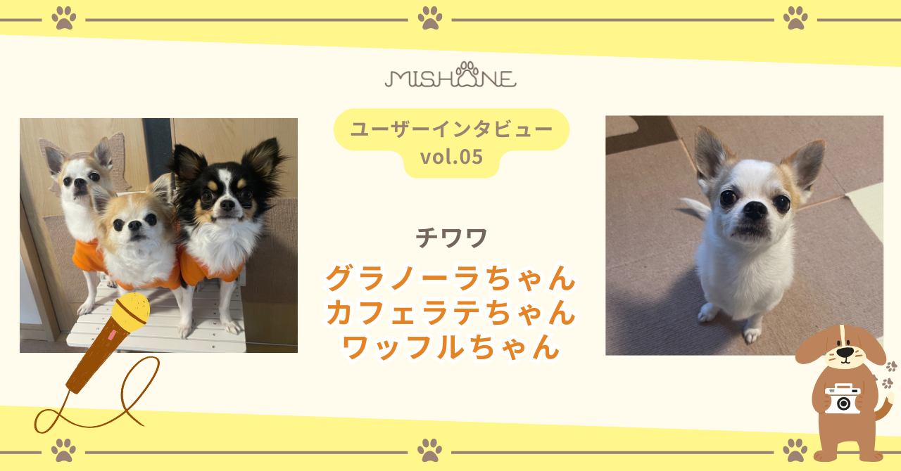 チワワ グラノーラくん カフェラテちゃん ワッフルちゃん