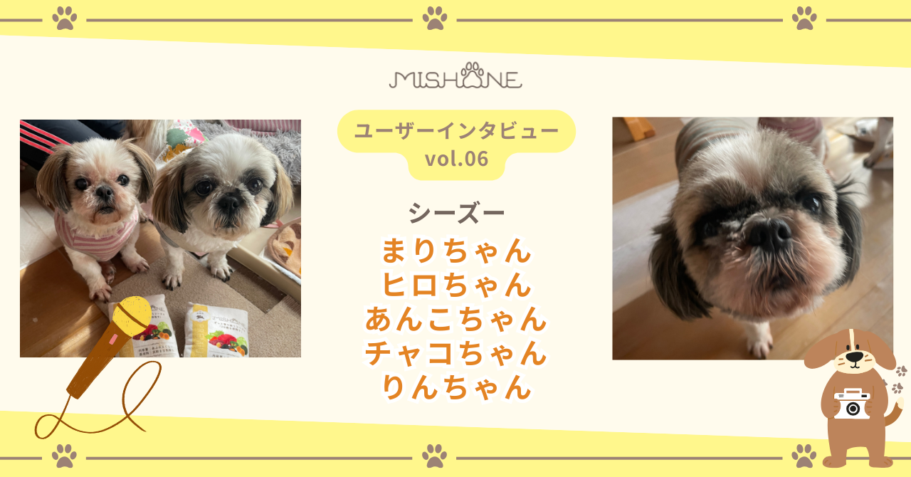 シーズー「まりちゃん」「ヒロちゃん」「あんこちゃん」「チャコちゃん」「りんちゃん」