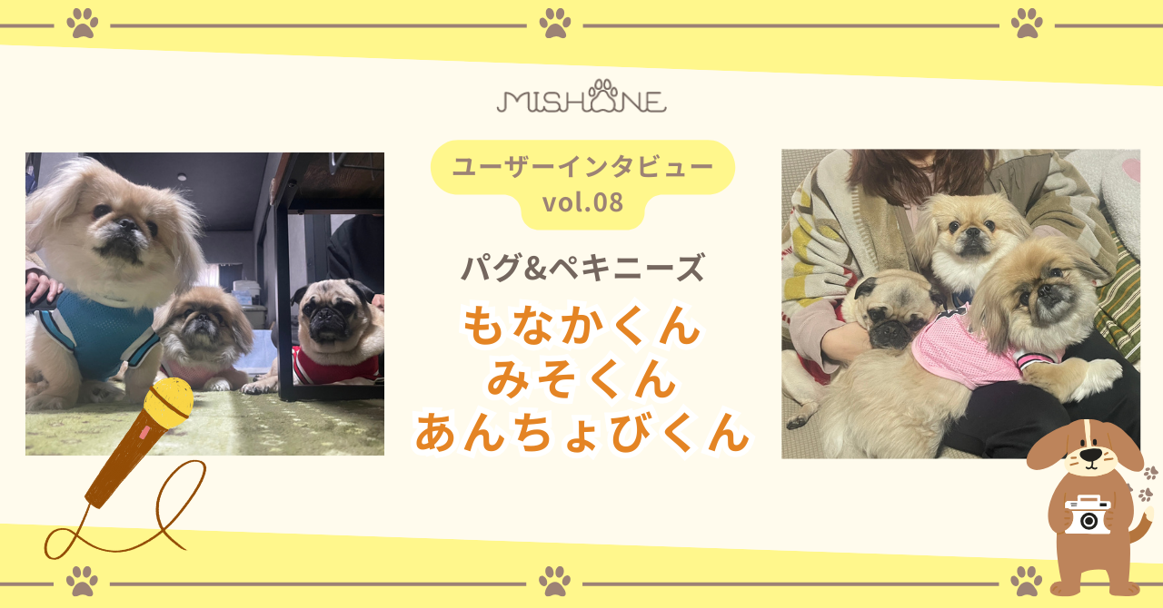 パグペキニーズ「もなかくん」「みそくん」「あんちょびくん」