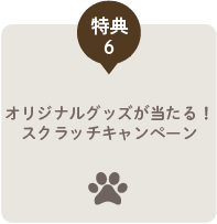 特典6