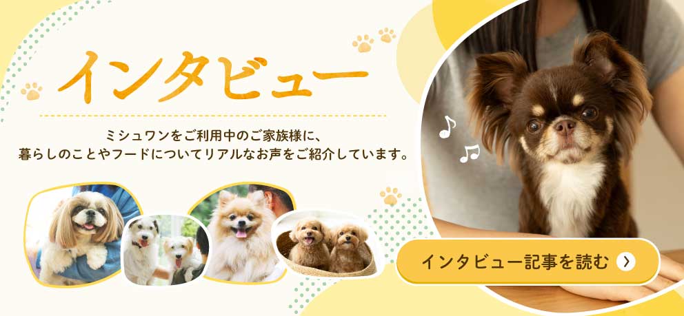 お客様インタビュー
