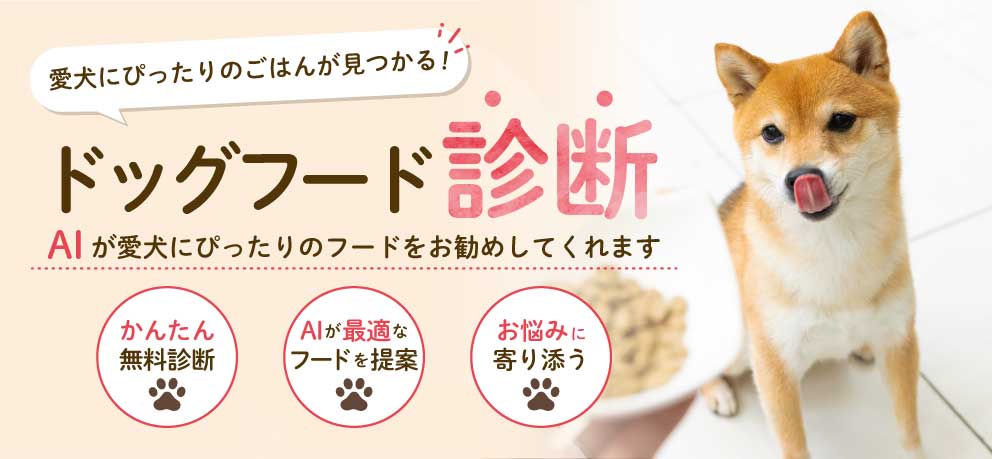 ドッグフード診断 AIが愛犬にぴったりのフードをお勧めしてくれます
