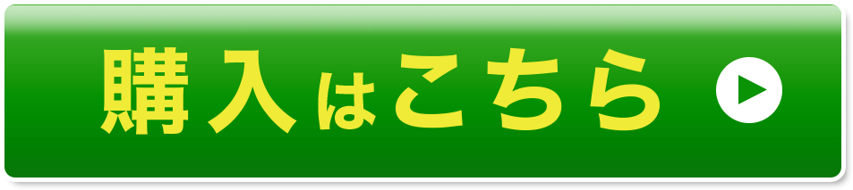 購入はこちら
